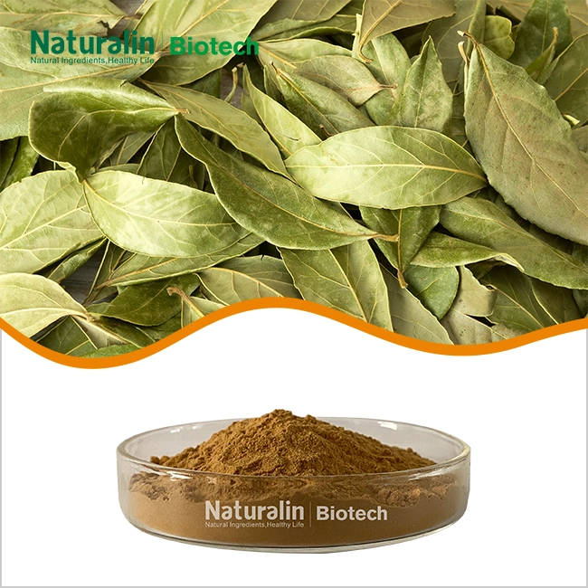 Senna Leaf Extract Powder
